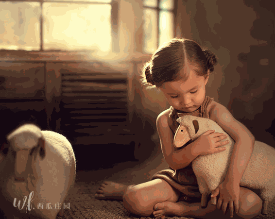 西瓜庄园儿童摄影